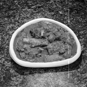 Veg Sham Savera