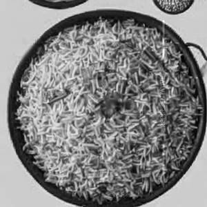 Masala Rice