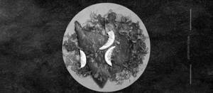 Lemon Chilli Fish