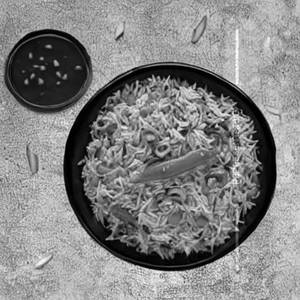 Veg. Sizhwan Rice