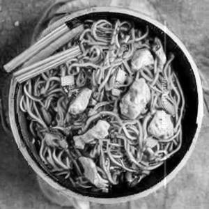 Chicken Malaysian Noodles