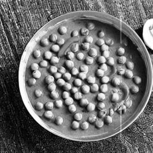 Green Peas Curry