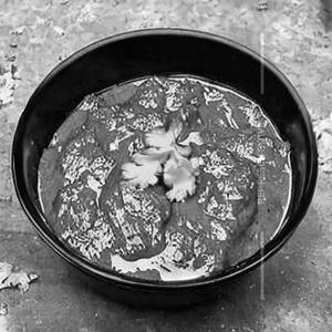 Gobi Gravy