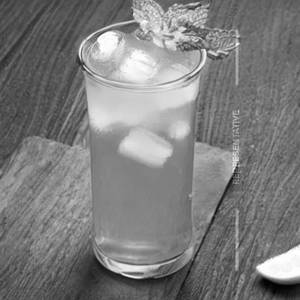 Mint Lemon Juice 