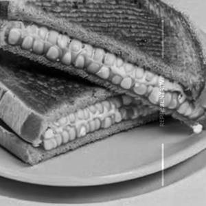 Corn Lays Cheese Grilled Sandwich