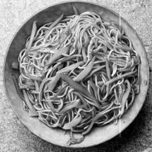 Tangy Bangkok Noodles