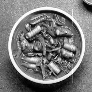 Hunan Baby Corn Gravy