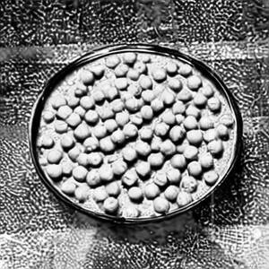 Green Peas Aloo
