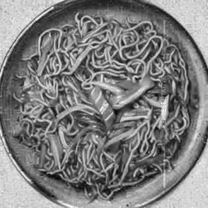 Veg Mei Goring Noodles