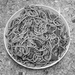 Garlic Noodles