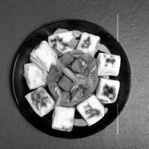 Paneer Fusion