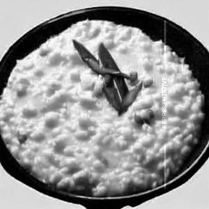 Curd rice