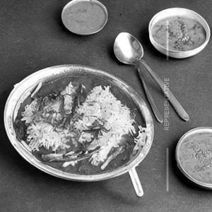 Bolinger (Silver Fish)