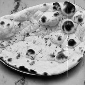 Naan 