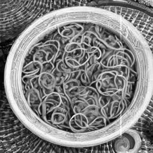 Prawn Three Jewel Noodles