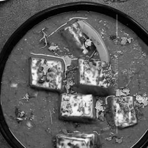 Paneer Pasanda