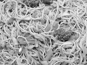 Veg noodles