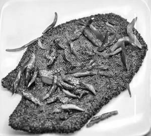 Fish Pepper Dry
