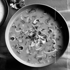 Mushroom Soup