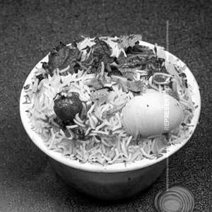 Jalaram special biryani