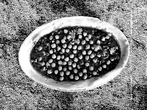 Channa masala