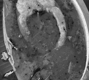 Fish pulusu