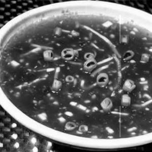 Hot & Sour Soup