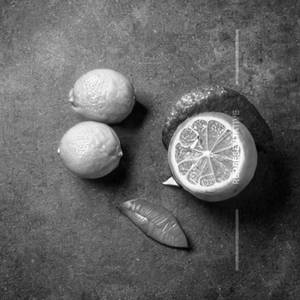 Fresh Lime