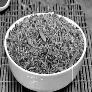 Schezwan Veg Fried Rice 