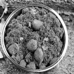Kaju masala