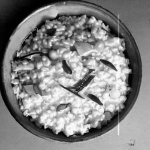 Curd Rice  