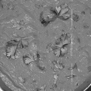 Cheese Tomato