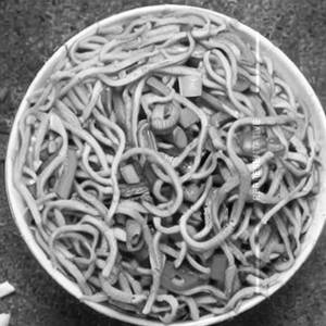 Schezwan Baby Corn Noodles