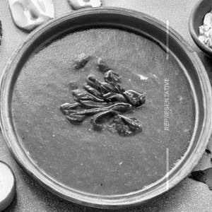 Palak Soup