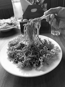 Pan Pried Noodles