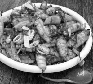 Baby corn chilly