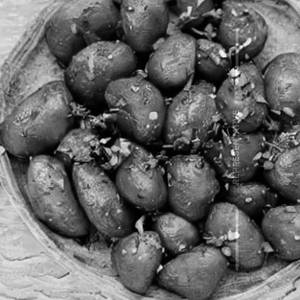 Hot Garlic Potato Dry