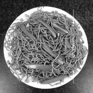 Veg Crispy Noodles