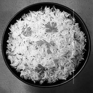 Prawn Cilantro Rice