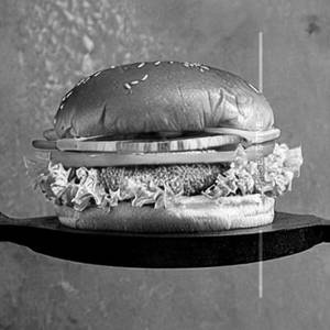 Chicken burger