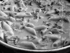 Cheese Makhni Pasta