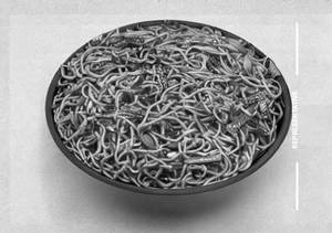 Veg Schezwan Noodles