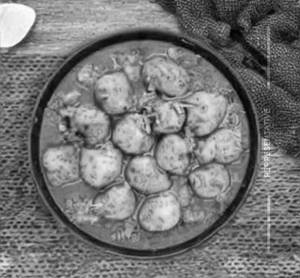 Dum Aloo Kashmiri