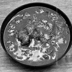 Chicken Vindoloo