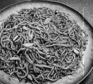Shanghai noodles
