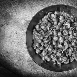 Matar Mushroom