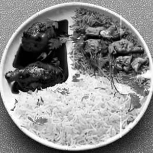Barbeque Chicken Herbs Rice