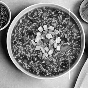 Mixed Rice Chow [soup]