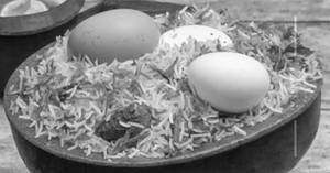 Egg Biryani 