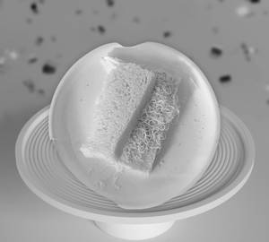Cheese Jam Slice